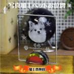  домашнее животное мемориальная табличка домашнее животное мемориальная табличка memorial .. домашний алтарь предметы для домашнего буддийского алтаря crystal мемориальная табличка домашнее животное ...книга@ мемориальная табличка 