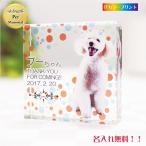  memorial домашнее животное мемориальная табличка мемориальная табличка домашнее животное выполненный под заказ цвет принт 