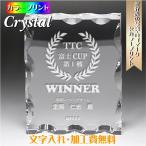  фотография печать crystal память . оригинал название inserting . работа память благодарность форма награждение форма UV цвет печать 