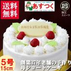 ケーキ 誕生日ケーキ 5号 プレート付 木苺 生クリーム / バースデーケーキ 人気  手作り 子供 送料無料 1歳 あすつく 結婚記念日 インスタ映え ギフト