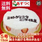 ケーキ 誕生日ケーキ 5号 名入れ 大