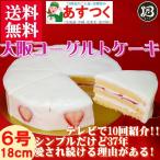 ケーキ TVで紹介されました「ラヴィット！」 ノーマル 大阪ヨーグルトケーキ 6号 18cm 【このケーキは名入れできません名入れ希望は他のケーキをお選び下さい】