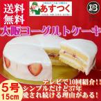 TVで紹介されました「ラヴィット！」ノーマル 大阪ヨーグルトケーキ 5号 / 15cm 【このケーキは名入れできません名入れ希望は他のケーキをお選び下さい】