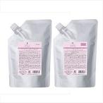 2点セット デミ フローディア グランストレッチ シャンプー 1000ml +トリートメント 1000g 宅配便送料無料 ふんわり ボリューム 弾力 艶髪 BC-T