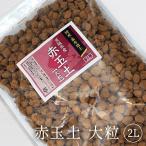  местного производства твердость красный шар земля крупный 2L основа материк Blend для декоративное растение Hanaki . дерево и т.п. растение в горшке горшок вверх роза роза садоводство огород 
