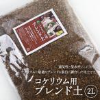 苔テラリウム 用土 コケリウム 土 2L コケリウムブレンド ソイル soil