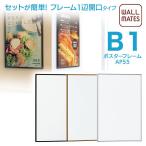  постер panel /AP55*B1