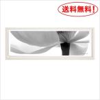 写真家 池田邦彦 スタイリッシュフラワー26 額付 フォトポスター W80.7xH30.7xD2.6cm