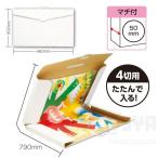 新コンパクト作品収納ケース  メール便不可