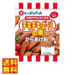 ネコポス発送 送料無料 ★日本ハム チキチキボーンの素 100g 4個★ ポイント消化