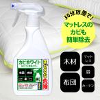 カビソフト除去スプレー450ml カビ取り剤のカビホワイト 木材 畳 ベッド レースカーテンなどのカビ除去に！約1～3か月カビ防止が期待  ビーワンショップ