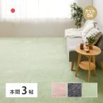 カーペット 敷き詰め ラウム 本間 3畳 ペット 帖 カットできる タフト 平織り ラグマット 絨毯 犬 いぬ イヌ 猫 ネコ 滑り防止 オールシーズン 春夏秋冬 爆買