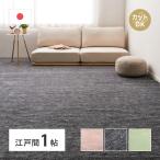カーペット 敷き詰め ラウム 江戸間 1畳 ペット 帖 カットできる タフト 平織り ラグマット 絨毯 犬 いぬ イヌ 猫 ネコ 滑り防止 オールシーズン 春夏秋冬 爆買