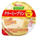 低たんぱく 腎臓病食 高カロリーゼリー やさしくラクケア　クリーミープリン　カスタード風味　63ｇ