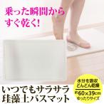 珪藻土バスマット 【アスベスト検査済み 不使用】 風呂マット 玄関マット 浴室足ふき ドアマット さらさら カビ対策 ダニ対策 速乾 消臭 60×39cm 送料無料
