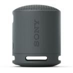 sony динамик Sony Bluetooth беспроводной портативный SRS-XB100 BC черный 