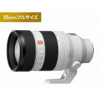 SONY SONY ソニー FE 50-150mm F2 GM SEL50150GM α（ソニー） G Master