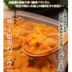 【北方四島産】生蝦夷バフンウニ　無菌塩水パックで浜辺の味を実現!!1パック[約100g]入　※冷凍品ではありません！！