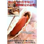 【活ホタテ】今が旬！しかも活だから味わえる！北海道野付産 大判活帆立です！貝付き3枚入