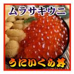 Yahoo! Yahoo!ショッピング(ヤフー ショッピング)【1日10品限定】うにいくら丼セット　キタムラサキウニ100g+いくら60g←さらに66％増量中！【バカ売れわけあり商品】