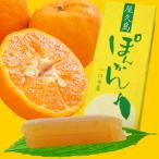 一口羊羹 屋久島ぽん