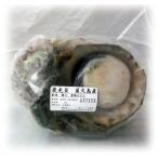 ������ʲ�����᳤��� ���դ���