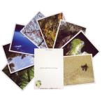  магазин . остров открытка с видом 2