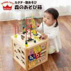 エド・インター Ed.Inter  森のあそび箱 知育玩具 木製玩具 木のおもちゃ 木琴 迷路 ルーピング ビーズコースター パズル