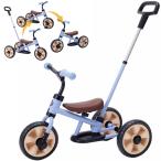 he... sun rider NEO mat blue tricycle balance bike .... bike pedal none deformation . taking . hand pushed . stick 1 -years old half from 