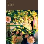  внутри праздник . каталог подарок * yoke ( каталог подарок 20,800 иен course )