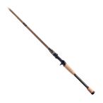 メガバス 2025 デストロイヤーエヴォルジオン F4.1/2-610ti