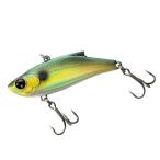 バスデイ　レンジバイブ　55TG　Bassd