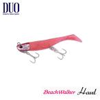 デュオ　ビーチウォーカー　ハウルセット　シャッド　4inch　21g　DUO　Beach Walker Haul　