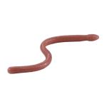 デュオ　レアリス　リグルクローラー　4.8inch　DUO