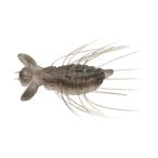 【全7色】　エバーグリーン　フラッターギズモ