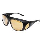 LSD オーバーグラス タイプ1 マットブラック/ライトブラウン セミハードケース付