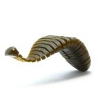 レイドジャパン　ヒラタイラー 5.7inch