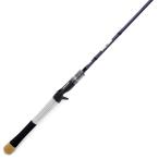 レジットデザイン　ワイルドサイド　テクニカルハードベイトシリーズ　WSC-GC66ML THB