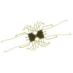 【全10色】イマカツ　ダンベルクラブ　エラストマー　エコ対応品