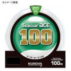 クレハ シーガーエース100 100m 7号