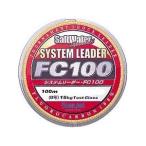サンライン システムリーダーFC100 100m 100lb 30号