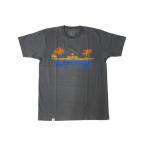 [ ограниченное количество. специальная цена ] wild ласты zNew PALM TEE WILDFINS