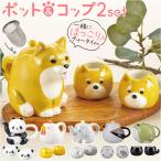 ティーセット 茶器 通販 急須 湯呑 �