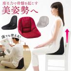  таз поддержка стул осанка корректирующий почтовый заказ cosios Premiumkosi мужской premium панель подушка сиденье "zaisu" прекрасный осанка сиденье "zaisu" таз корректирующий таз сиденье "zaisu" поддержка подушка 