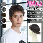 PRISILA プリシラ メンズ 部分ウィッグ 部分ウイッグ 部分かつら レイヤーショート部分ウイッグ ヘアピース カバーピース かつら