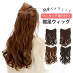 ウィッグ 通販ウィッグ ロング エク