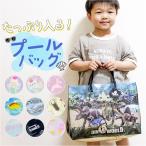 高波クリエイト プールバッグ マチあり キャラクター 通販 プールバック ビーチバッグ ビーチバック ビニールバッグ ビニールバック 柄 角型