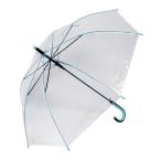 ビニール傘 オシャレ 通販 大きい サイズ 60cm カラー 丈夫 グラスファイバー骨 ジャンプ式 かわいい 長傘 傘 レディース メンズ 通勤 通学 婦人傘 紳士傘