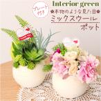 観葉植物 フェイク 小さい 通販 フェイクグリーン アーティフィシャルグリーン インテリアグリーン 人工観葉植物 卓上 小さめ 小型 ミニ 鉢植え ポット