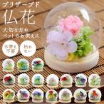 お供え 通販お供え プリザーブドフラワー ガラスドーム 四季 暦 供養 仏花 供え花 献花 ドームタイプ ドーム プリザ 長持ち 飾り かわいい 仏壇用 お盆 進物